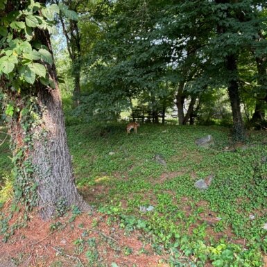 1276-post-road-east-westport-ct-external