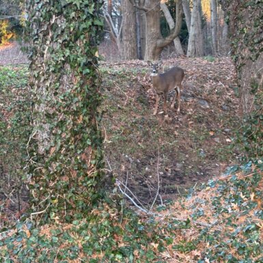 1276-post-road-east-westport-ct-external-pic2